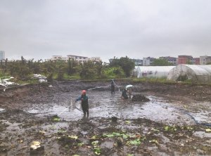 冀州河道鱼塘清淤